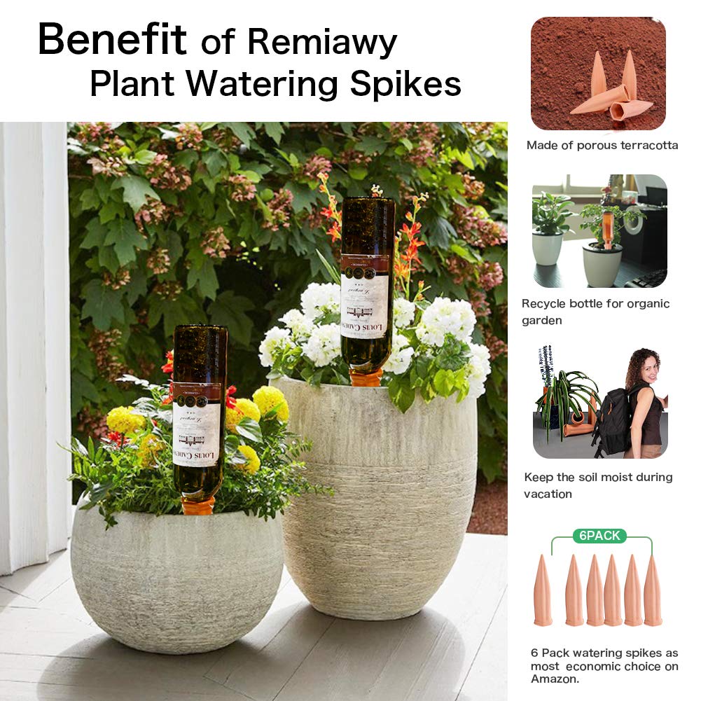 REMIAWY Plant Watering Stakes 6 Pack Automatic Plant Waterers for Vacations, Terracotta Self Watering Spikes for Wine Bottles Indoor & Outdoor Plants