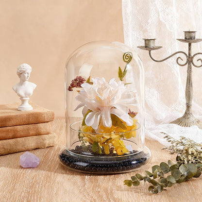 PH PandaHall Glass Display Dome Cloche 4.6x6.38inch Clear Terrarium Planter with Base Tabletop Display Terrarium for Indoor Plants Succulents Cactus Tabletop Home Decoration