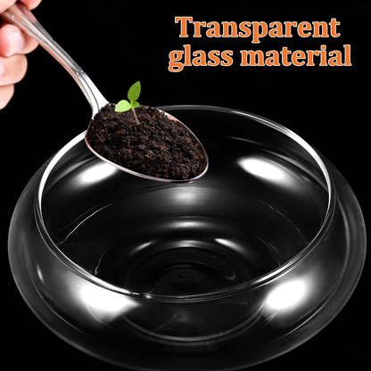Gatuida 2pcs Glass Vase Bowls Clear Fish Bowls Wide Mouth Flower Vase Round Terrarium, Glass Hydroponic Planter Floral Container for Water Lily Plants Table Centerpiece