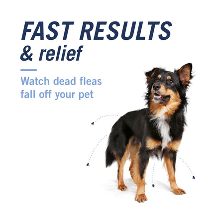 PetArmor CAPACTION (nitenpyram) Oral Flea Treatment for Dogs, Fast Acting Tablets Start Killing Fleas in 30 Minutes, Dogs 2-25 lbs, 6 Doses