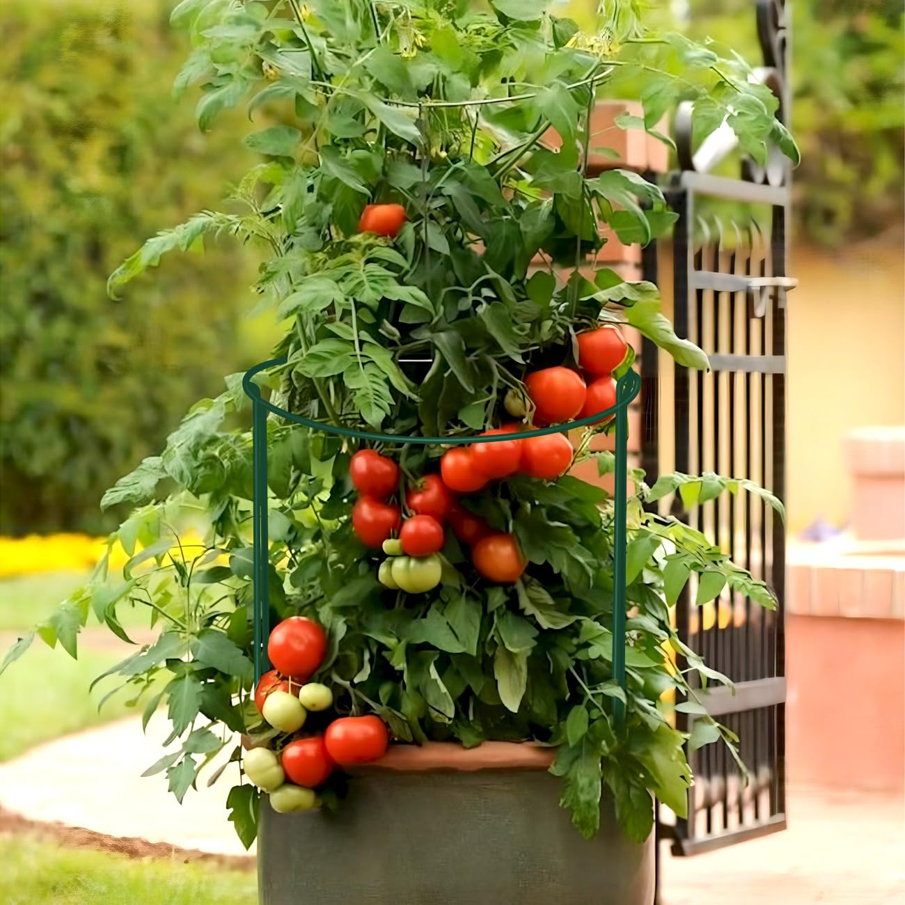 12 Pack Plant Support Stakes, 10" Wide x 24" High Half Round Metal Peony Cages and Support, Green Garden Plant Stake Plant Support Ring Border for Peony Tomato, Hydrangea, Flower Indoor Outdoor