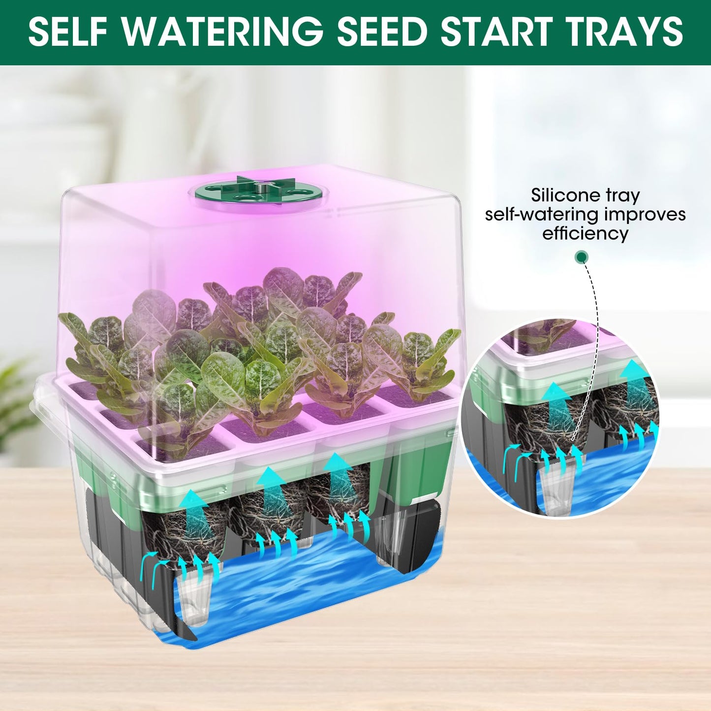 MQHUAYU 60-Cell Self Watering Seed Starter Tray with Grow Light, 5-Pack Reusable Seed Starter Kit with Soft Silicone, Plant Germination Trays with Humidity Dome for Seeding Planting Growing