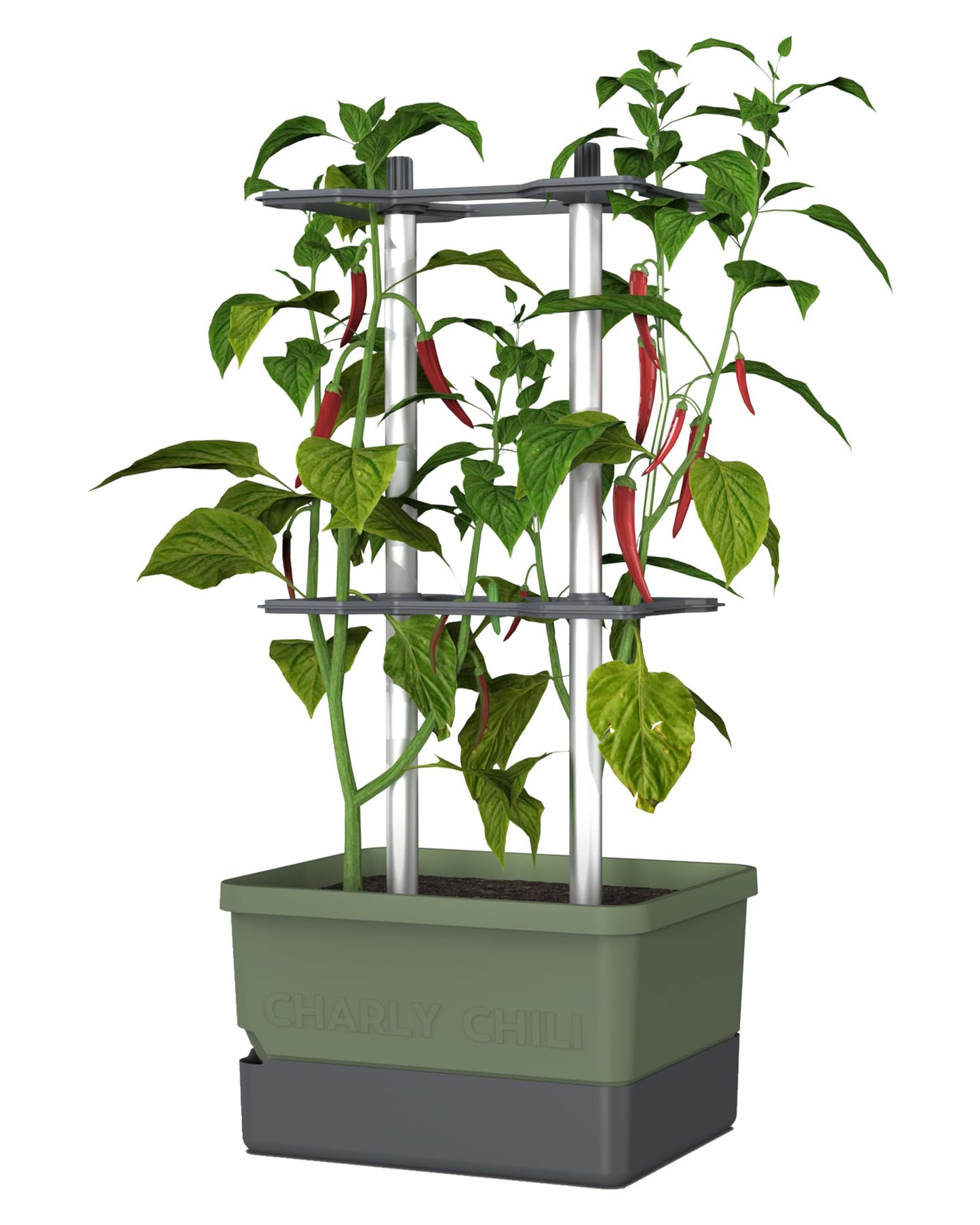 BUZZY Seeds Charly Chili Self-Watering Planter with Vertical Trellis – 1.2 Gal Reservoir, Large Capacity Planter for Chili Peppers, Bell Peppers & Eggplants (Green)