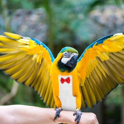 Generic Flight Bird Diaper Suit for Parrots Liner for Outdoor Fun and Comfortable Design for Parakeets and Cockatiels