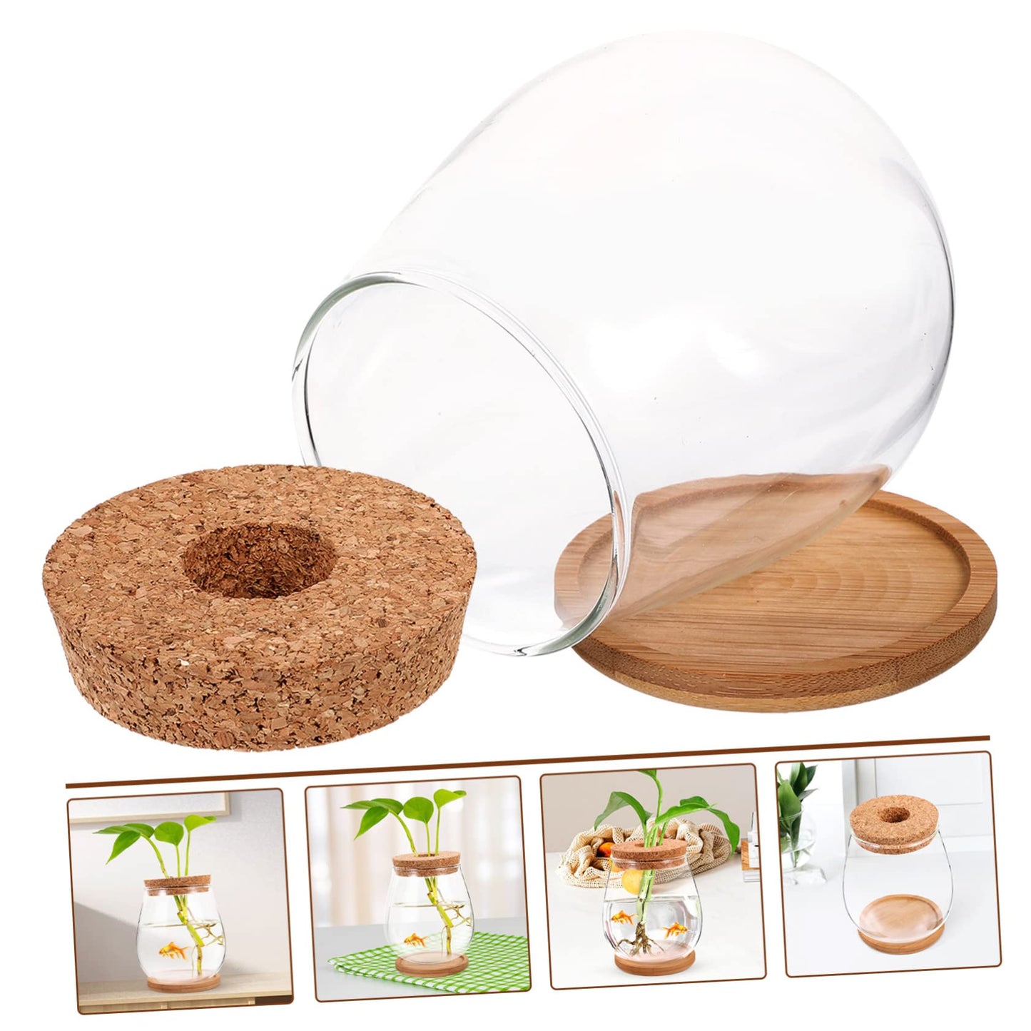 GANAZONO 1set Delicate Glass Terrarium Planter Bamboo Tray Hydroponic Landscape Bottle for Indoor Plants Compact Micro Ecosystem Decor for Home and Office