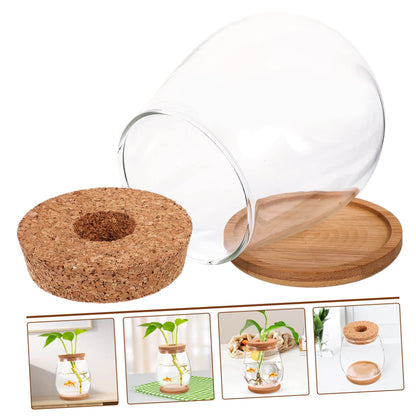 GANAZONO 1set Delicate Glass Terrarium Planter Bamboo Tray Hydroponic Landscape Bottle for Indoor Plants Compact Micro Ecosystem Decor for Home and Office
