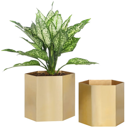 MyGift Handcrafted Metallic Shiny Brass Metal Indoor Plant Vase Pot with Hexagon Shape, Decorative Succulent Cactus Planter Container, Set of 2 - Handmade in India