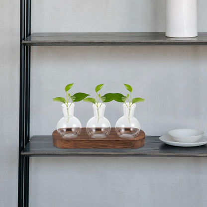 OSOLADY Decorative Glass Plant Vase Set with Wooden Base, Hydroponic Flower Planter for Office and Home Desk, 3pcs Water Cultivation Terrarium Arrangement