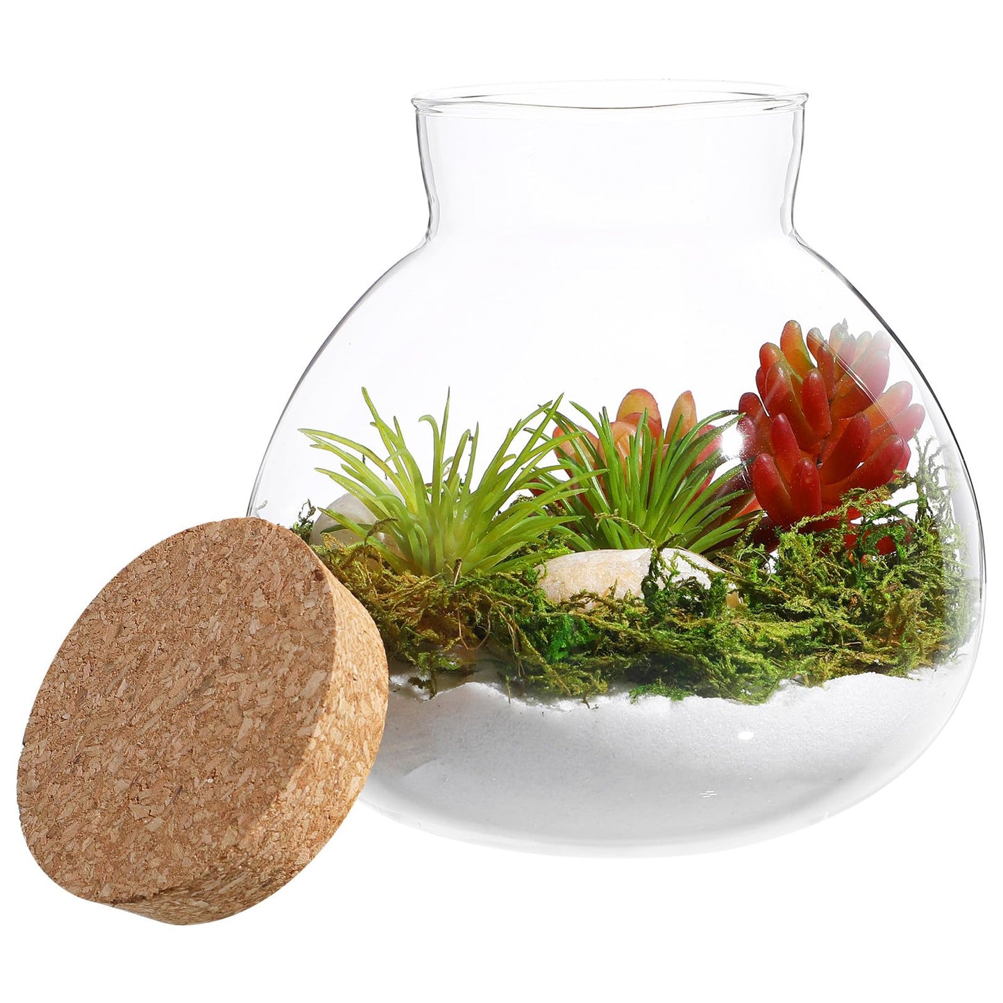 SEWACC Glass Terrarium Jar with Cork Lid, 6 Inch Round DIY Microlandscape Bottle for Plant Terrarium Decor and Airtight Storage, Home Office Kitchen Use