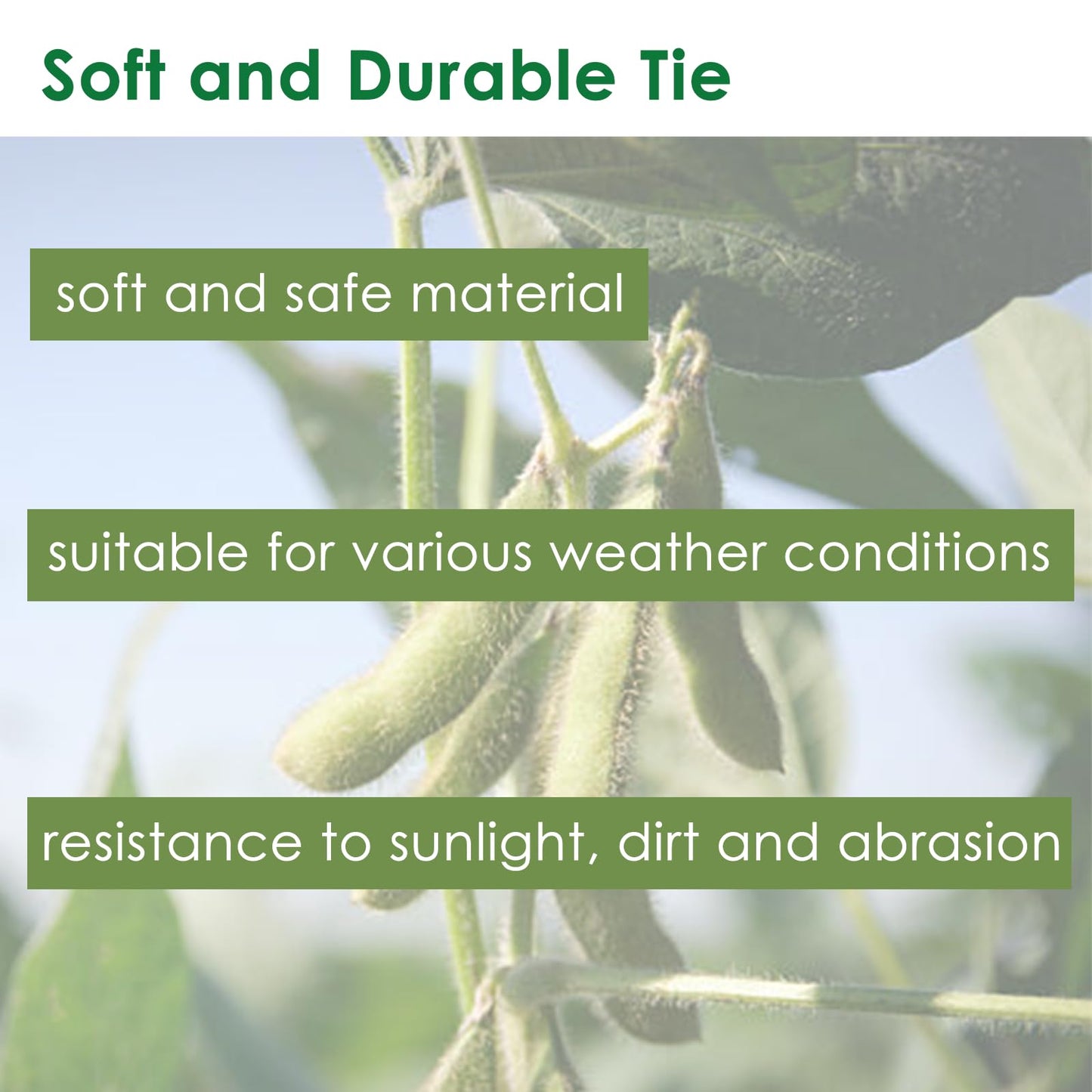 plantactic Soft Plant Tie Garden Plant Twist Tie TPR Plant Supply, for Supporting and Fixing Garden Planting Branches Vines, Stems, for Garden, Office, Home Organizing (65.6ft /3.5mm Diameter, Green)