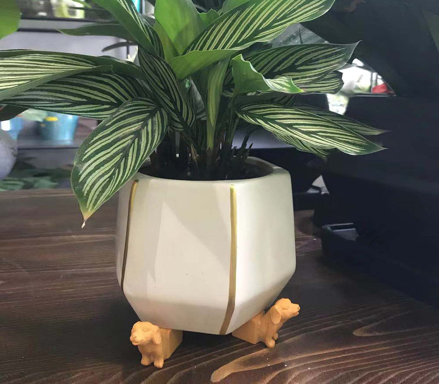 dgudgu Dog Head Shaped Planter Feet for Indoor and Outdoor Pots - Risers to Improve Airflow, Drainage - Decorative Elevator for Planters