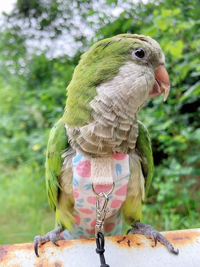 Bird Diaper Harness Flight Suit Clothes, Parrot Flight Suit with Leash, Bird Flying Clothes with Rope and Handle for Outdoor Activities Training (Pink Without Leash,Large)