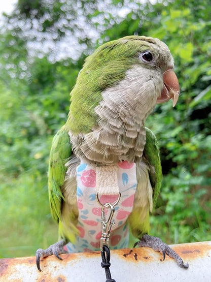 Bird Diaper Harness Flight Suit Clothes, Parrot Flight Suit with Leash, Bird Flying Clothes with Rope and Handle for Outdoor Activities Training (Pink with Leash,Small)