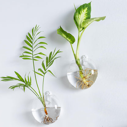 wangsdjy Wall Mount Plant Propagation Station - Clear Hydroponic Glass Vase, Oblate Planter for Indoor Plants | Perfect for Home, Office, Bathroom Decor | Gift for Plant Lovers (4)