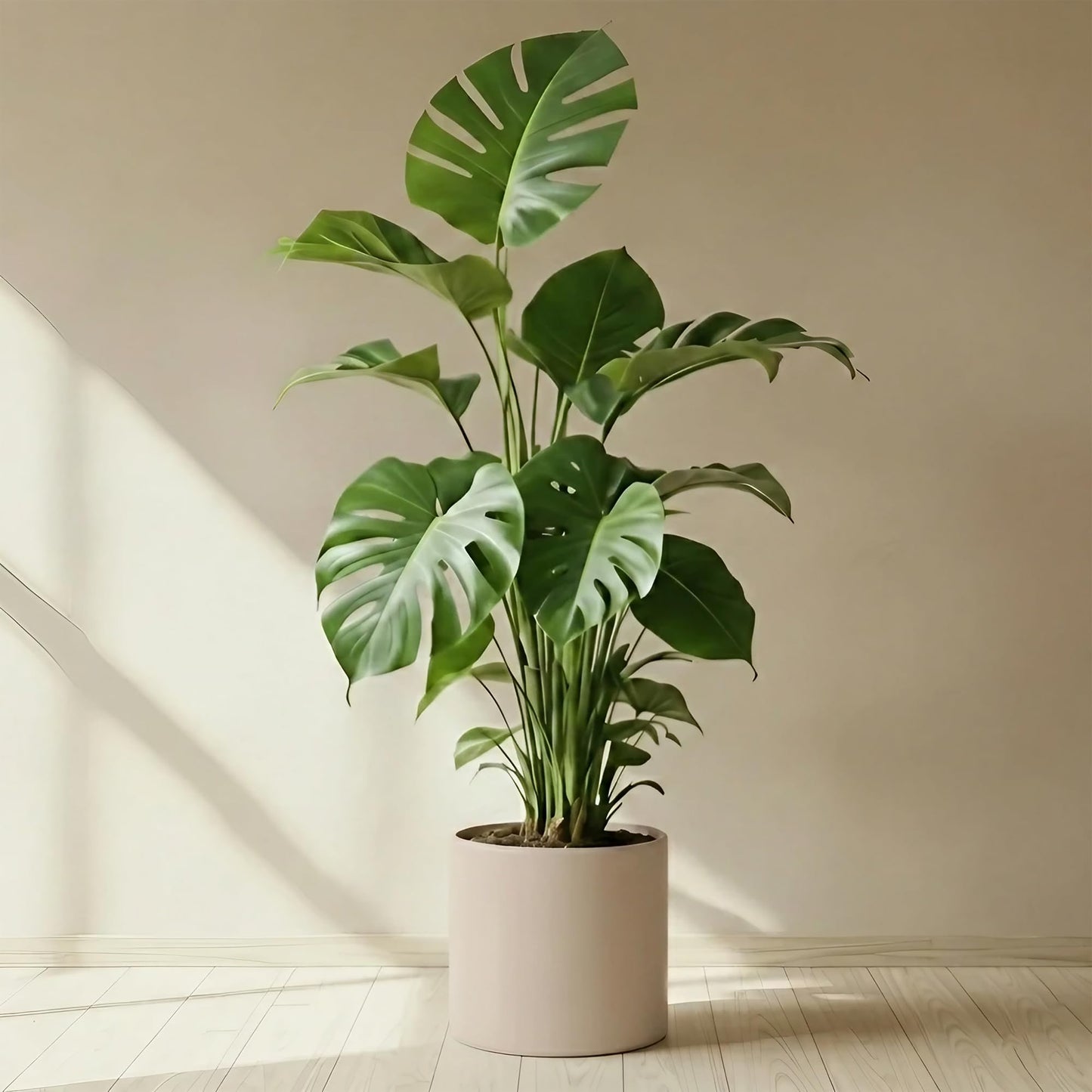 DEPLA LANE Lumero Fiberstone Cylinder Planter (14.0" Pot Opening x 15.7" D x 15.7" H) Smooth Finishes, Lightweight, Durable, UV Resistant, Minimalist Decor, Indoor Outdoor Plant Pot (XL, Cream White)