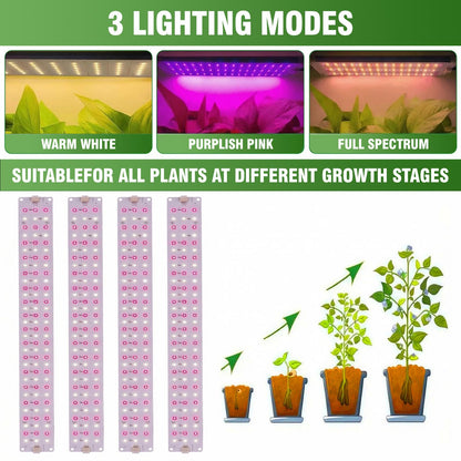 Indoor Greenhouse with Grow Light - 5 Tier DIY Plant Shelf with Cover, 4 Pack 48W Full Spectrum Grow Lights with Timer & 3 Color Mode for Indoor Plants, Seed Starting, Seed Tray 22x11.8x61 Inches