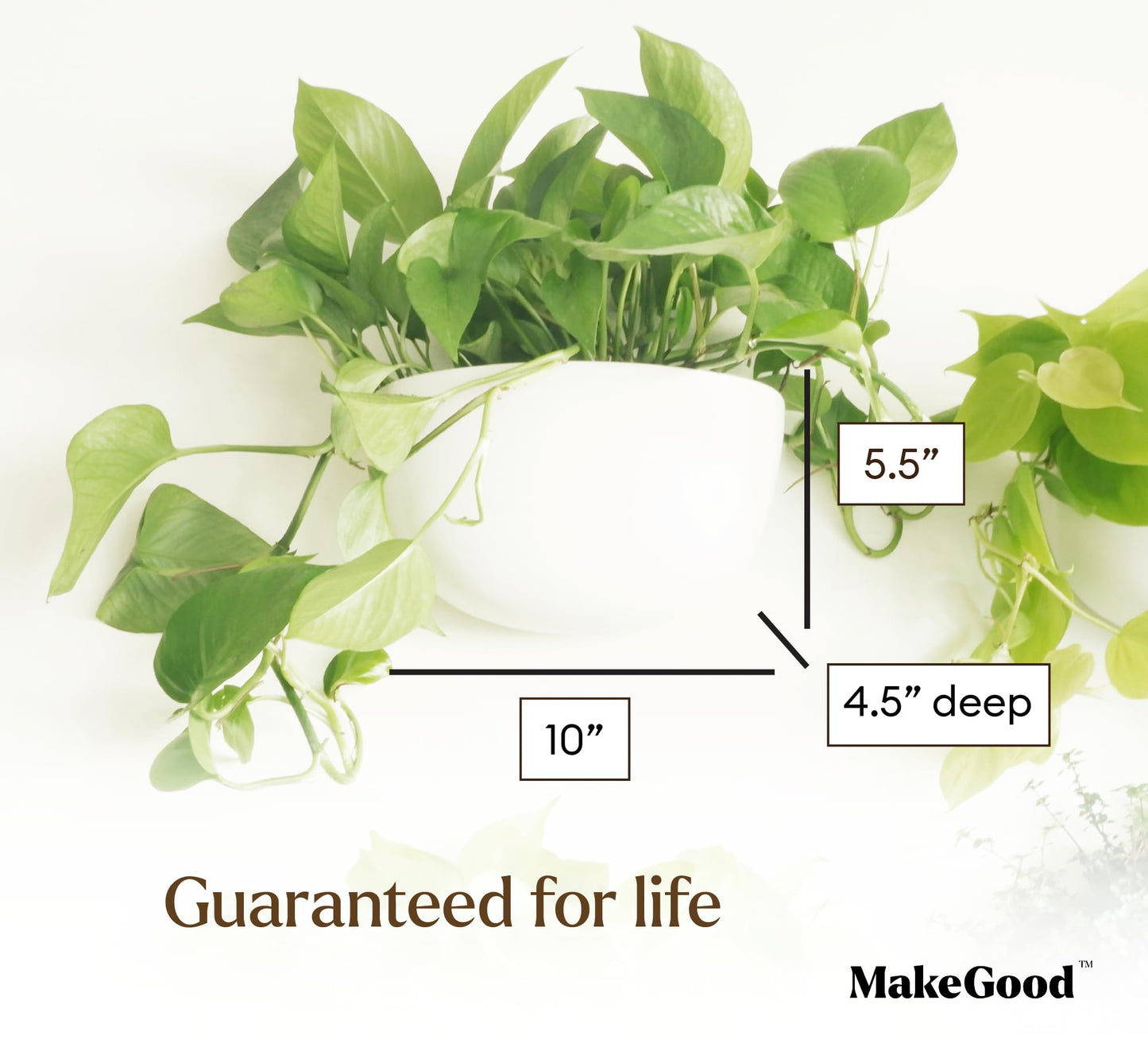 Make Good Virgo Wall Planters (Wide, Set of 6) - Easy to Water and Install - Lightweight - Design Your Own Vertical Garden - Melamine Plastic
