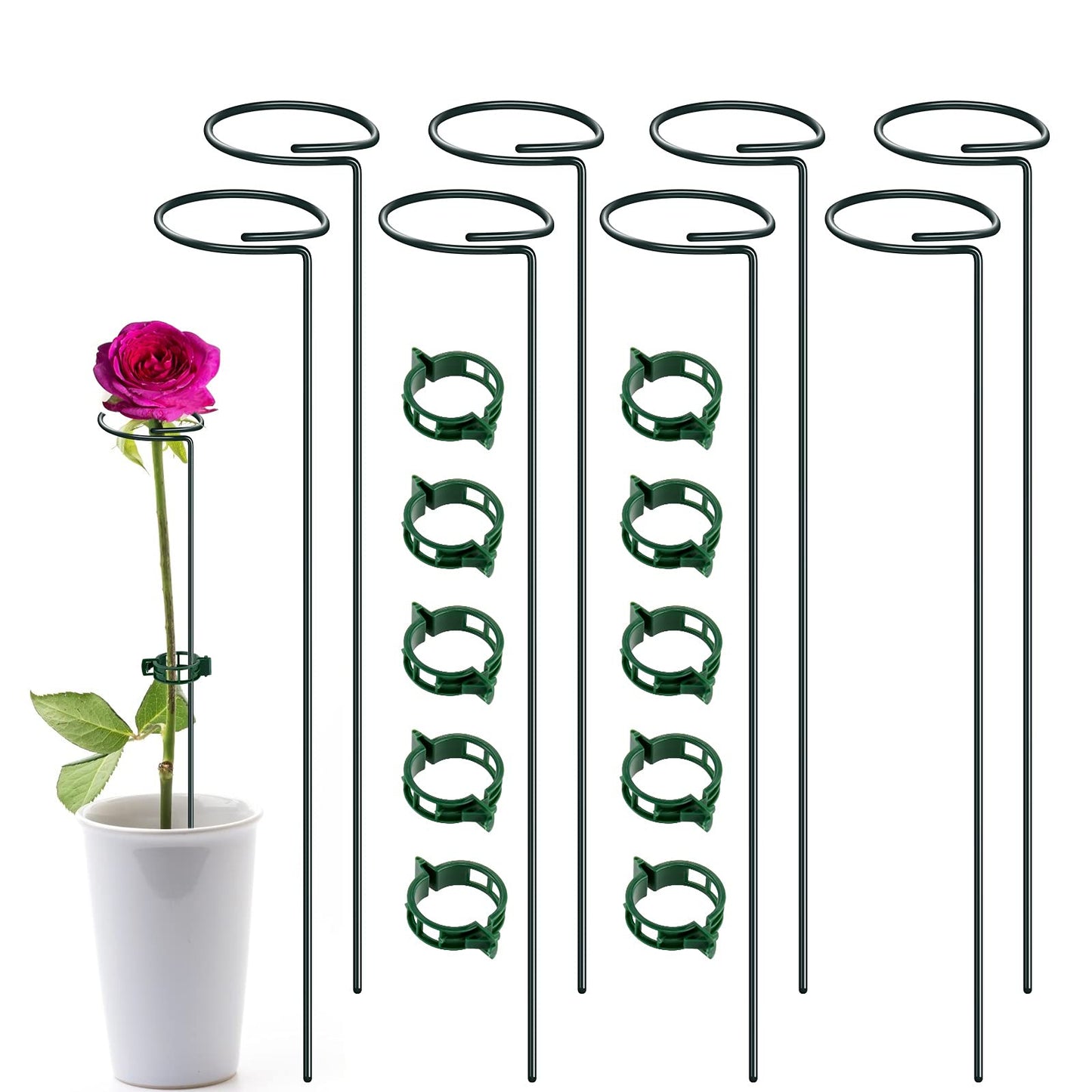 XYCING Green Metal Plant Support Stakes with Rings (Pack of 8) and 10 Plant Clips - Garden Single Stem Support Rod Set for Amaryllis, Rose, Tomato Seedling, Sapling