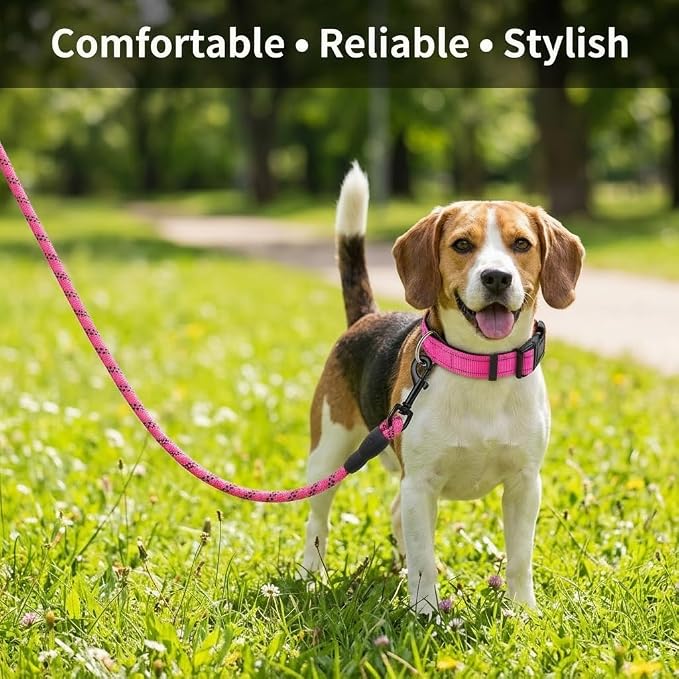 Dog Leash and Collar Set – 6 FT Strong Rope Leash with Padded Handle & Adjustable Nylon Collar Reflective for Small Medium Large Dogs (Pink, L)