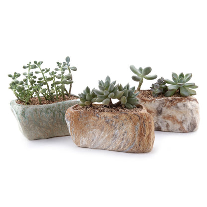 T4U 5.5 Inch Ceramic Succulent Pot Planter with Drainage Hole Set of 3, Stone Shape Rectangle Window Box Cactus Plant Containers Gift for Mom Sister Aunt Best for Home Office Table Desk Decoration