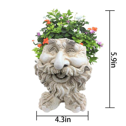 Sheremart Whimsical Face Planter - 6inch Funny Wizard Head Sculpted Pot (Antique White Resin), Unique Succulent Planter for Indoor/Outdoor Garden Decor (6#)