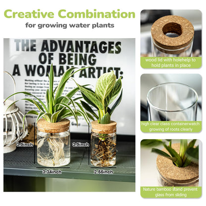 CHPINDAM Glass Propagation Stations for Plants -Desktop Flower Vases,Propagation Flower Vases Set – 2 Large & 2 Small for Plant Cuttings，for Living Room, Bedroom Decoration,Home,Office Decor (8)
