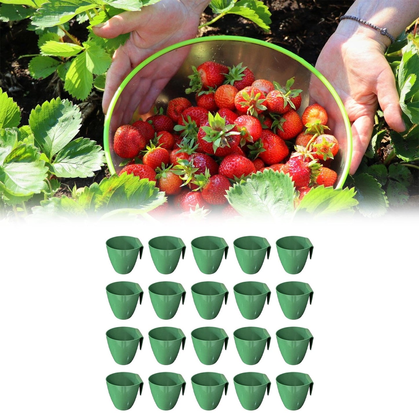 Yunmeryker 20x Strawberry Propagation Cup Seedling Pot Multipurpose Accessories Lightweight for Planting Cultivation Tool Side Hanging, Size L