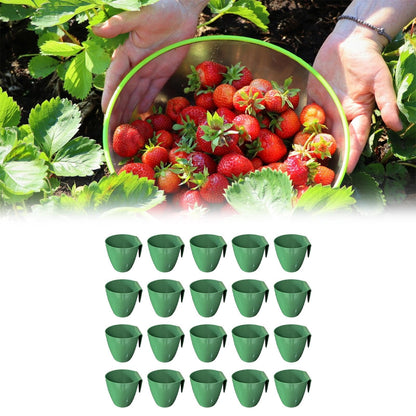 MFMEXUL 20 Strawberry Seed Cups, Accessories for Garden Applications, Size L