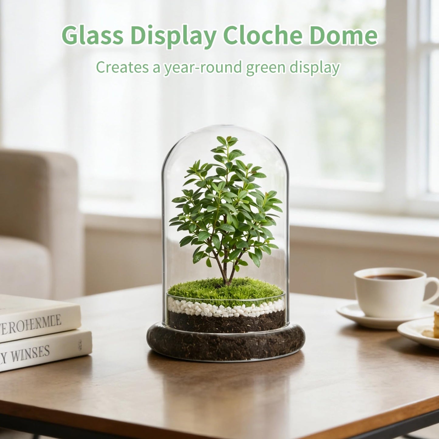 Glass Display Cloche Dome, 8.3 x 5.9 in Plant Terrarium Container with Base, Clear Glass Cover, Decorative Tabletop Display Case for Plants, Flowers, Collectibles & Keepsakes