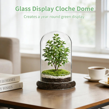Glass Display Cloche Dome, 8.3 x 5.9 in Plant Terrarium Container with Base, Clear Glass Cover, Decorative Tabletop Display Case for Plants, Flowers, Collectibles & Keepsakes