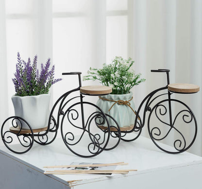 TJ Global 2-Plant Iron Bicycle Plant Stand, Metal Wire Flower Pot Wrought Iron Planter for Plants, Flowers, Garden, Patio, Office, Balcony Outdoor and Indoor Decor