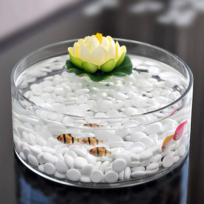 WGV Cylinder Vase, Open Width 8", Height 4", Clear Flat Pan Style Container, Planter Terrarium, Floral Centerpiece for Wedding Party Event, Home Office Decor, 1 Piece