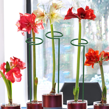 Unves 16" Tall Plant Support Stakes, 12 Pack Garden Flower Plant Stakes Single Stem, Garden Plant Support Cages Rings for Amaryllis Orchid Peony Rose, with 100 Pcs Twist Ties