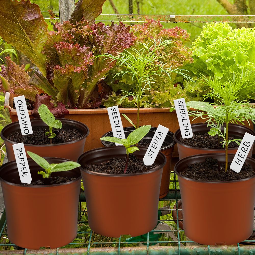 Bluckincle 100 PCS 4 Inch Plant Nursery Pots and 6 Inch Plant Seedling Pots