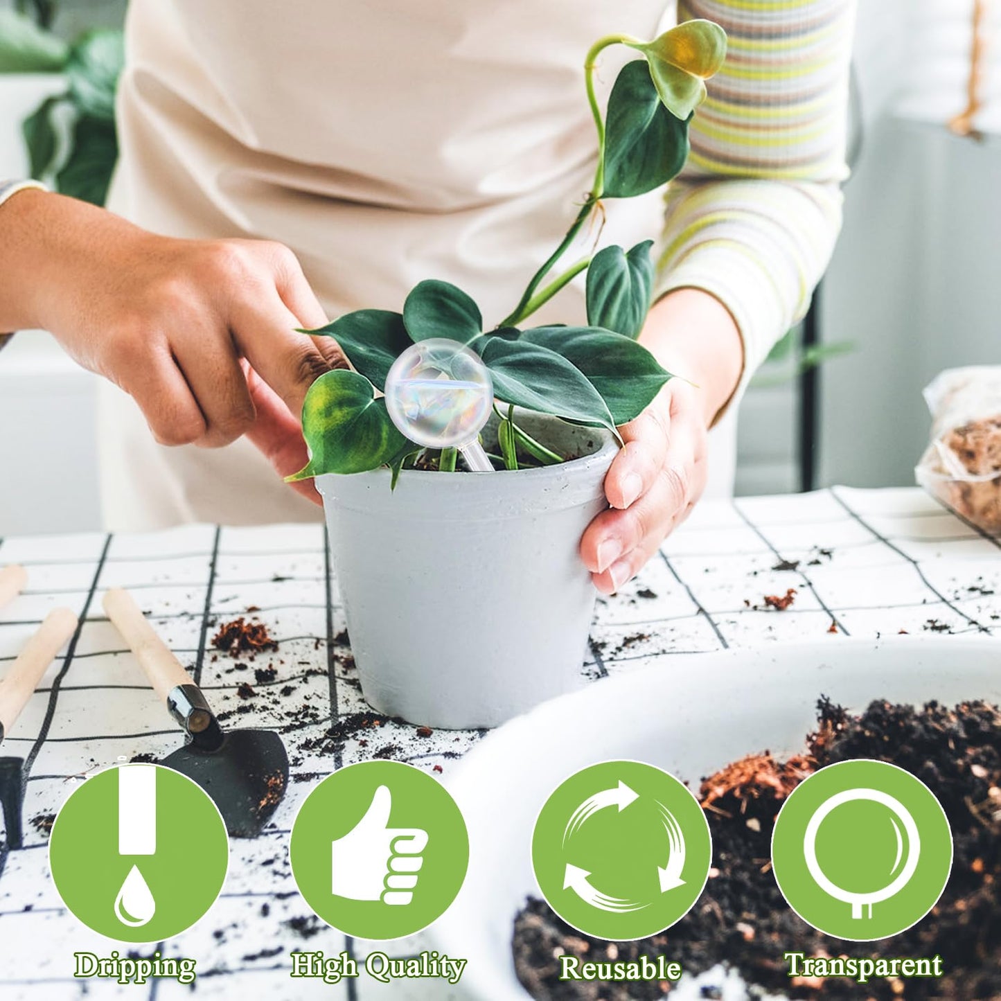 Pynqdfu 8 Pcs Plant Watering Globes,Glass Rainbow Gradient Plant Watering Globes,Self Watering Planter Insert,Automatic Plant Watering Devices for Indoor Outdoor,Flowerpot,Hanging Plants,Home Garden
