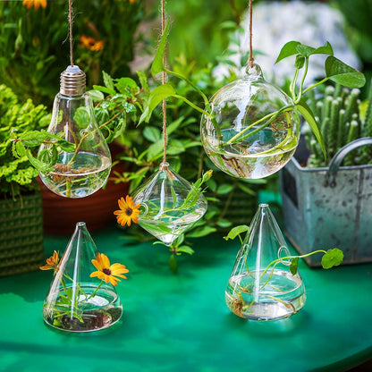 Glasseam Hanging Planters Glass Terrarium: 5Pcs Modern Plant Propagation Stations Hydroponic Wall Vases for Air Plants Flowers Indoor Window Home Decor