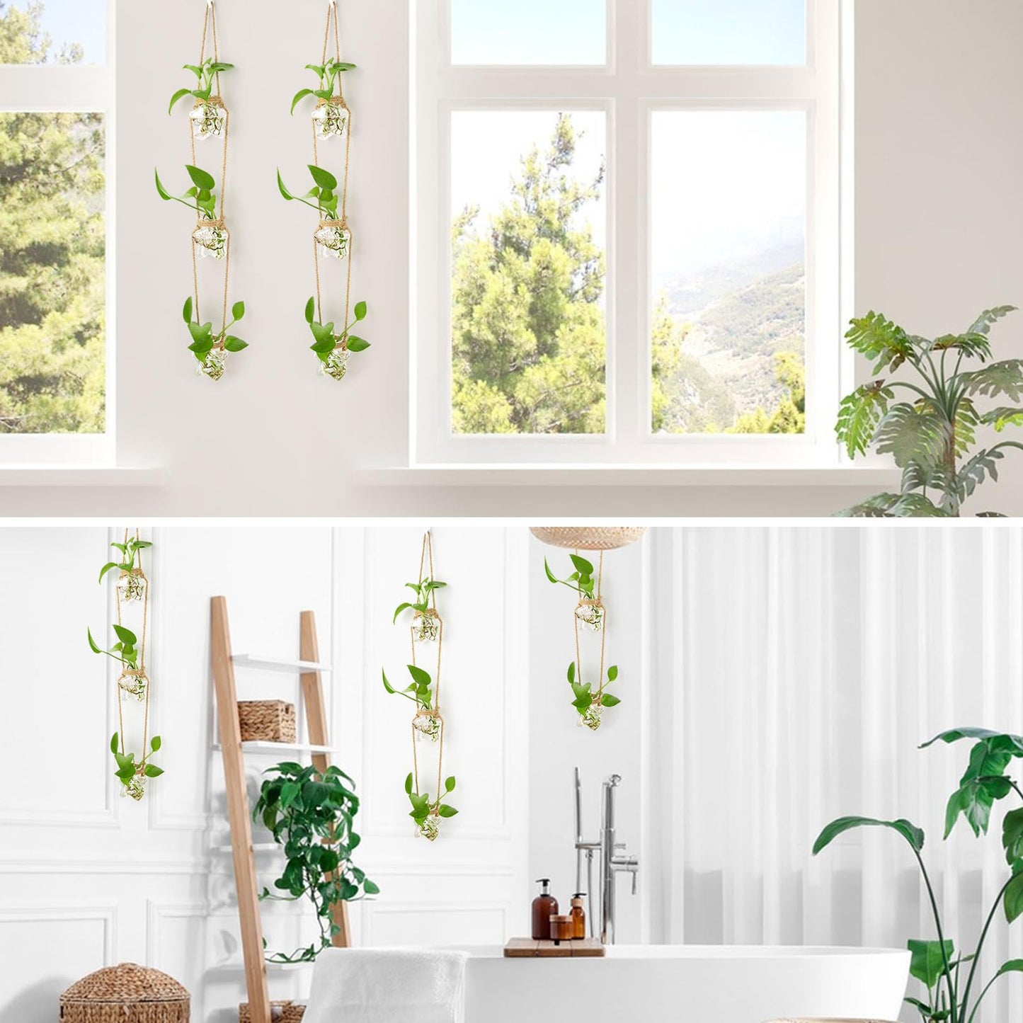 XXXFLOWER Wall Hanging Propagation Station，3 Tiers Star Shaped Glass Flower Vase for Hydroponic Planter Terrarium for Plant Cutting Home Office Living Room Garden Decor