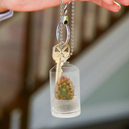 Ipetboom Desk Decor Desk Decor Glass Vase 6pcs Miniature Potted Plants Keychain Clear Terrarium Plant Keychain for Car Key Pendant Backpack Charms Glass Vase Vase