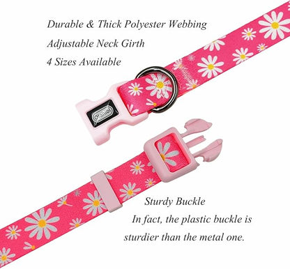 Dog Collar Leash Set, Floral Pattern, Polyester Material, Adjustable Collar and 5ft Matching Leash, for Medium Dogs.(M, Pink Daisy)