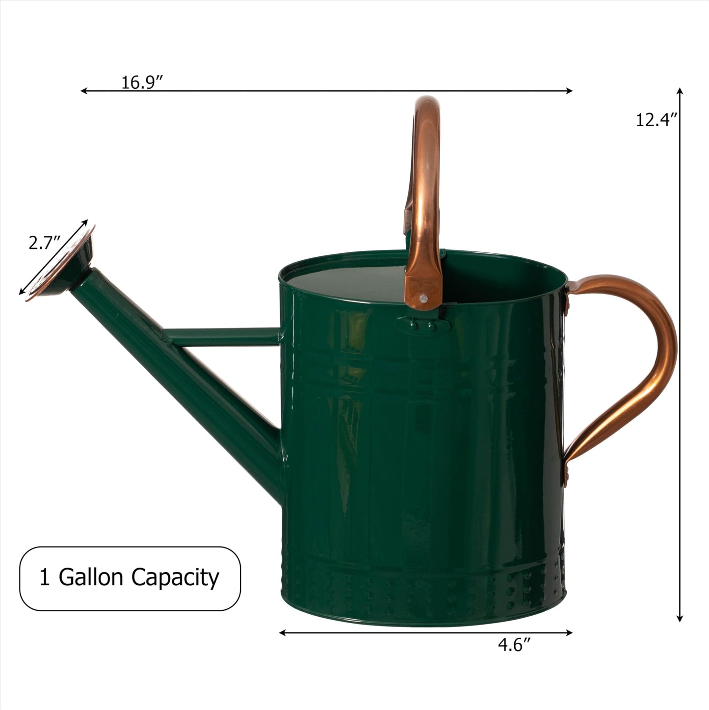 Gardenised 1 Gallon Galvanized Metal Watering Can with Removable Long Spout & Sprinkler Head for Indoor & Outdoor Use Ideal for Garden Flowers Potted Plants Houseplants Modern Home Accessories, Green