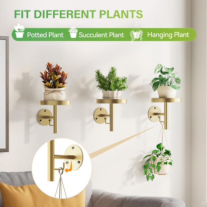 DELLAN Wall Plant Holder, 3 Pack Metal Wall Planters Stand Floating Shelves for Indoor Plants, Window Sill Plant Decor for Bedroom, Bathroom, Living Room, Home, Office, All Gold
