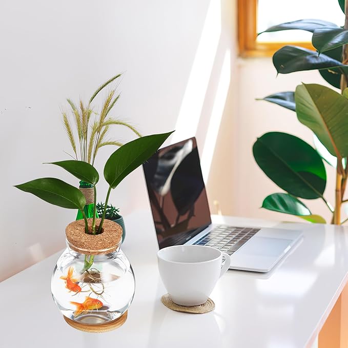 Beavorty Desktop Fish Tank Small Glass Fish Bowl with Cushion 5.51X5.11X1.18In Hydroponic Plant Terrarium Betta Bowl for Home Office Decoration