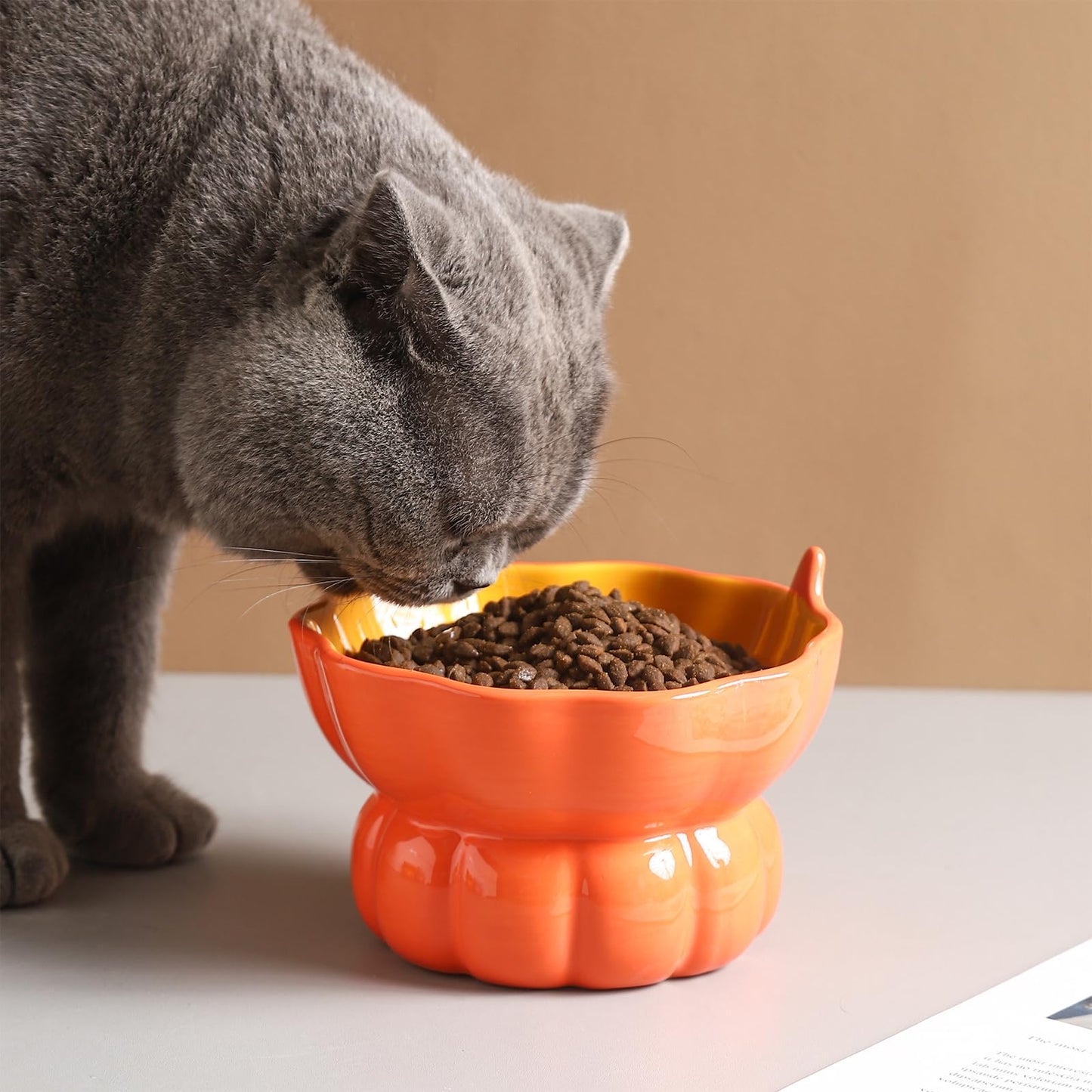 Yeexoxow Pumpkin Raised Ceramic Cat Water Bowl, 9 oz, Whisker Friendly