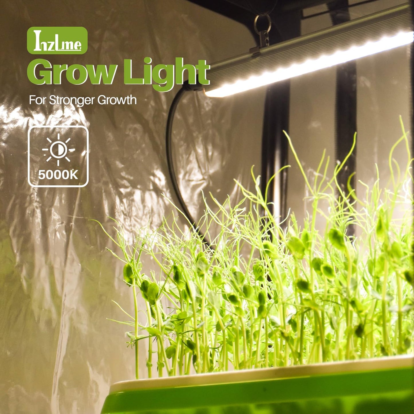Inzlume Indoor Greenhouse with Grow Light, Mini Greenhouse with 4 Pack 36W Grow Lights for Indoor Plant, Seed Start, Seedling, Seed Trays, 11.8" W x 15.7" L x 59" H