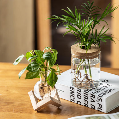 JGKYLDZ Plant Propagation Station, 2 Style Glass Planter Terrarium Set for Hydroponic Plants | Home Office Tabletop Decor, Gardening Gifts for Women, Mom, Plant Lovers (8)