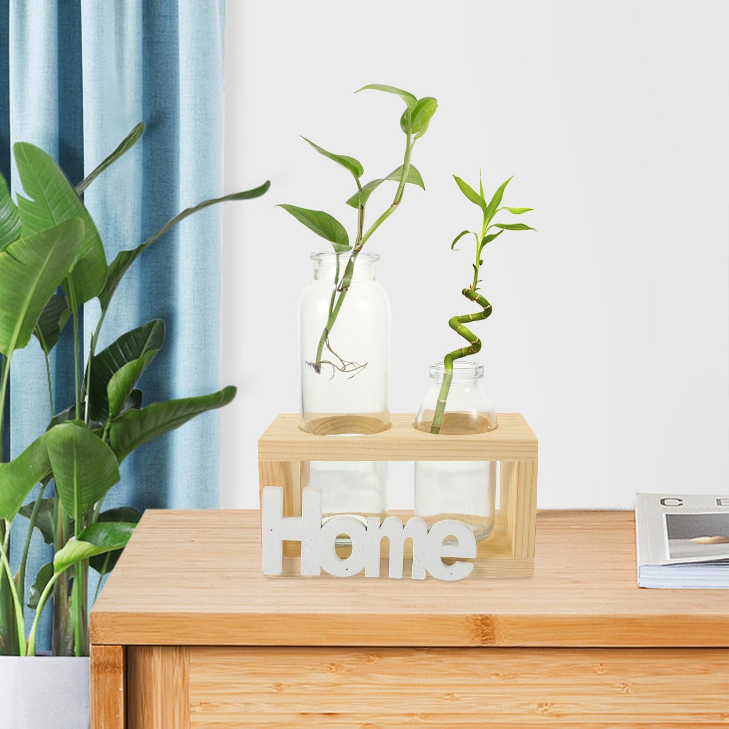 FESTFENDS Glass Terrarium Plant Vase with Wooden Stand, Hydroponic Propagation Station for Indoor Plants, Nordic Style Desktop Flower Vase Home Décor Set with 2 Glass Containers and Natural