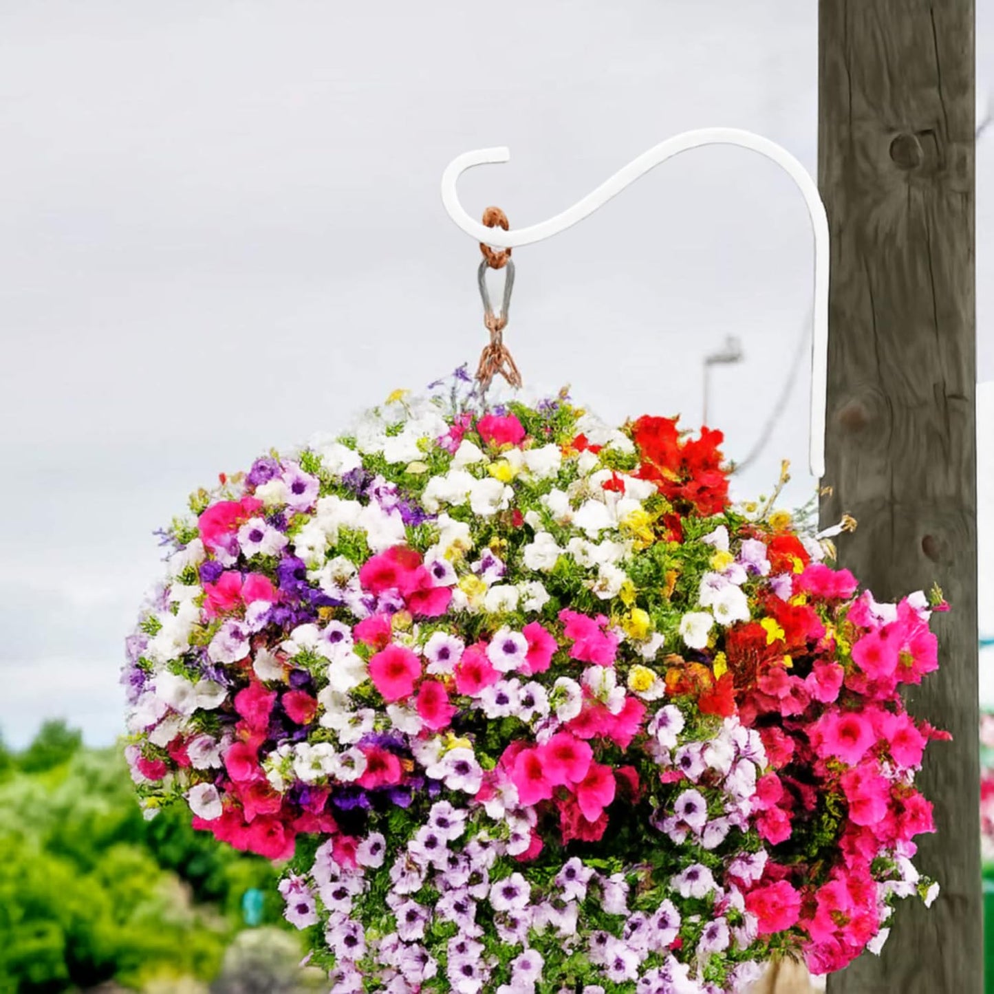 HERNGEE 4 Inch Cast Iron Plant Hook – White Wall Mounted Plant Hanger Bracket for Hanging Baskets, Lanterns or Wind Chimes – Heavy-Duty Hook with Screws Included