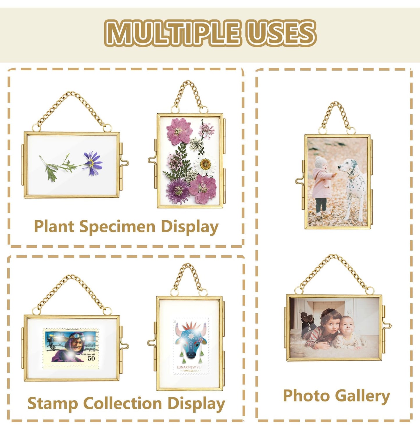 4Pcs Double Glass Frame for Pressed Flowers, 2x3 inch Picture Frame Mini Brass Wall Hanging Photo Floating Frame with Chain for Plant Specimen Artwork Display Home Wall Decor (Gold, Horizontal)