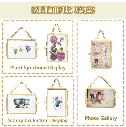 4Pcs Double Glass Frame for Pressed Flowers, 2x3 inch Picture Frame Mini Brass Wall Hanging Photo Floating Frame with Chain for Plant Specimen Artwork Display Home Wall Decor (Gold, Horizontal)