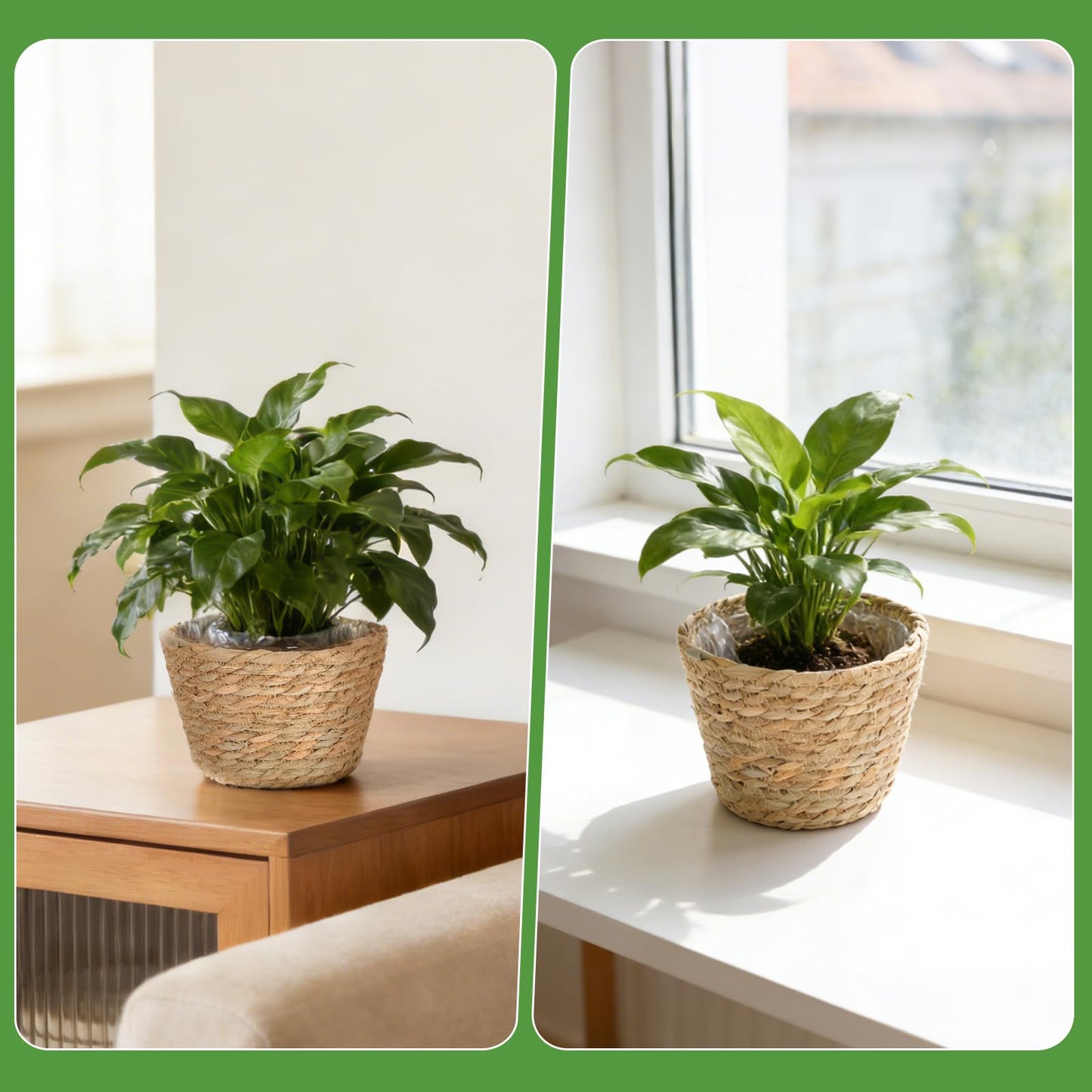 10 PCS Seagrass Plant Baskets with Plastic Liners, Woven Planter Basket Set for Indoor and Outdoor Plants, Wicker Flower Pot Covers Plant Container sand Storage Baskets for Home and Farmhouse Decor